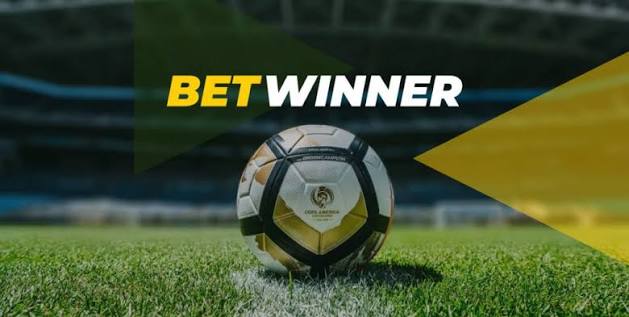 Discover the Exciting World of BetWinner Casino 891572895