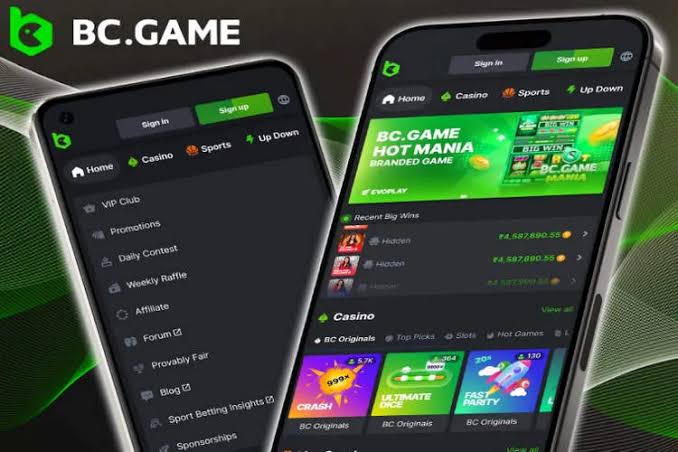 Explore BC.Game Casino and Sportsbook A New Era in Gaming
